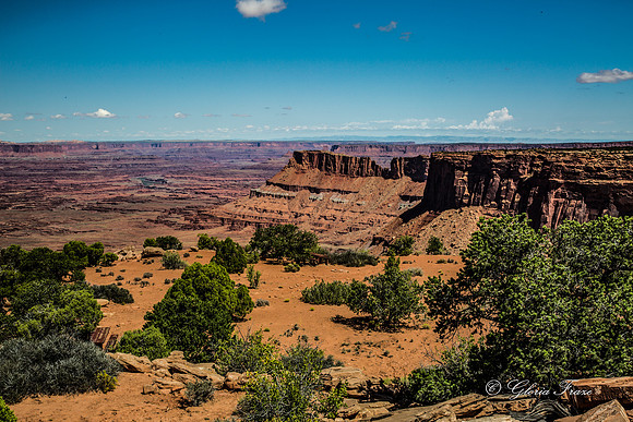 Needles Overlook, Canyonlands GLO7886