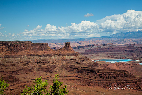 Canyonlands, Dead Horse Point  GLO7907