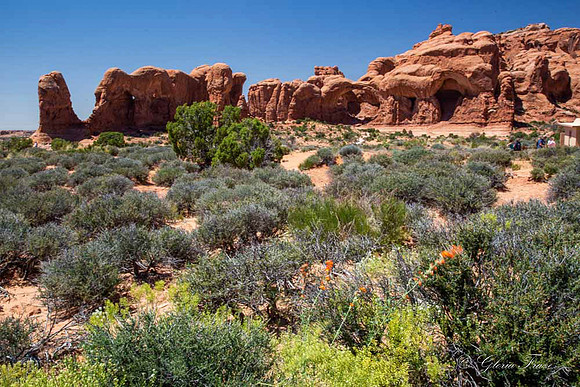 Arches National Park, Moab, Utah-3-13