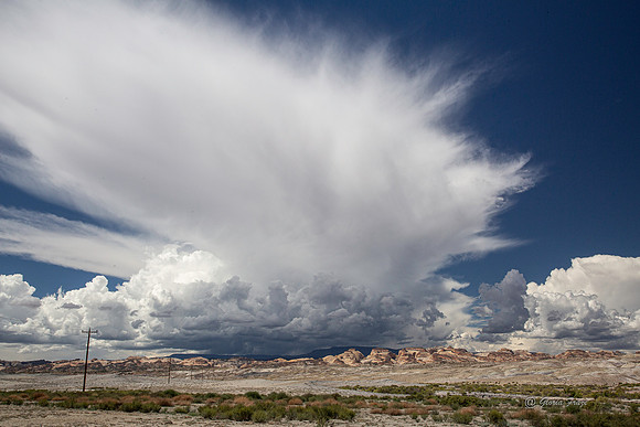Utah Scenery-2835