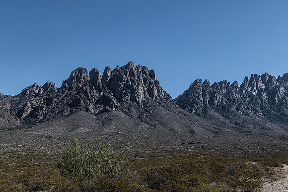 Organ Mountain, New Mexico-0837