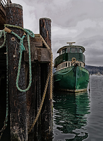 Shellelagh, Morro Bay, CA  GLO3772