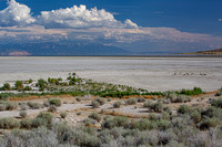 Antelope Island, Salt Lake, Utah 2554
