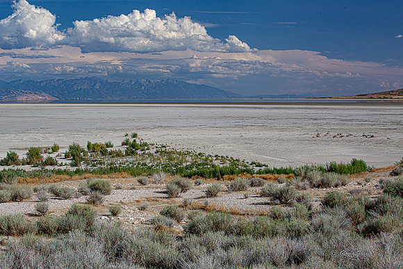 Antelope Island, Salt Lake, Utah 2554