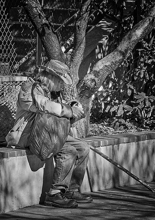 Snack Time Under a Tree   GLO_0038-2