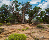 Canyon de Chelly GLO1268-4
