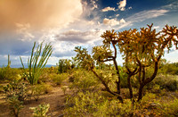 Desert Sunset GLO4112