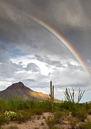 Monsoon Rainbow  GLO4136