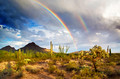 Desert/Southwest
