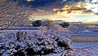Morning Snow