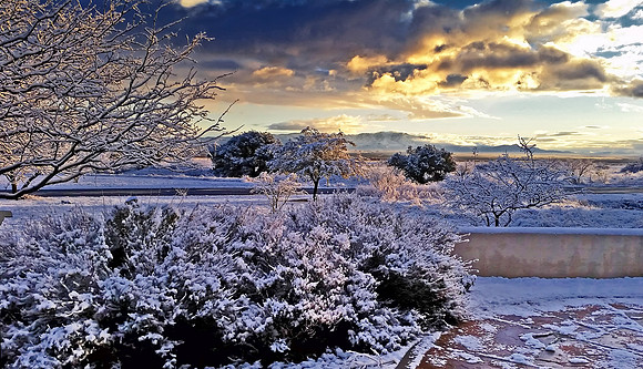 Morning Snow