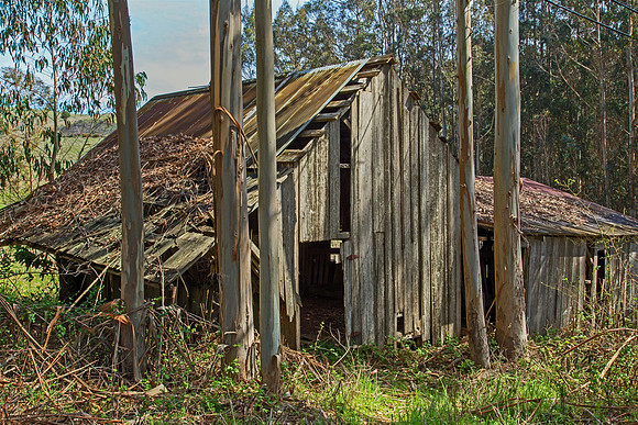 Bodega Barn #1