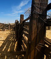 Fench, Brown Canyon Ranch