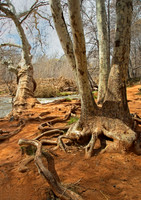Red Rock Crossing #1