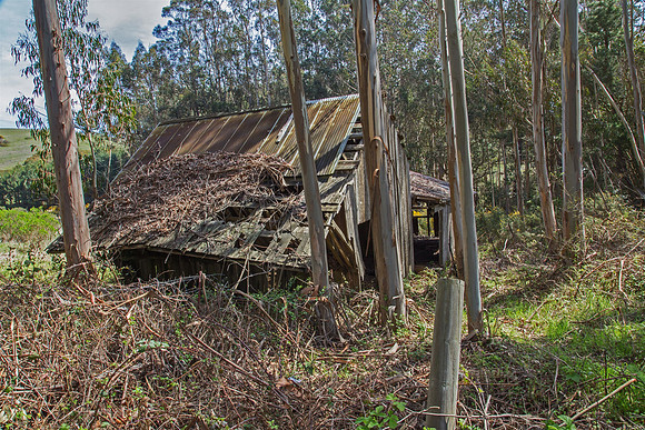 Bodega Barn #5