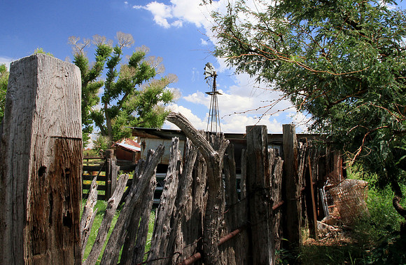 Windmill & Fench, Brown Canyon Ranch, Summer