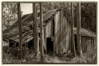 Bodega Barn #2