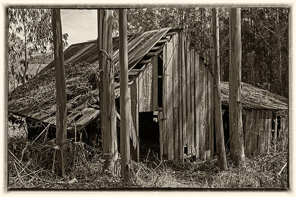 Bodega Barn #2