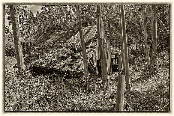 Bodega Barn #6