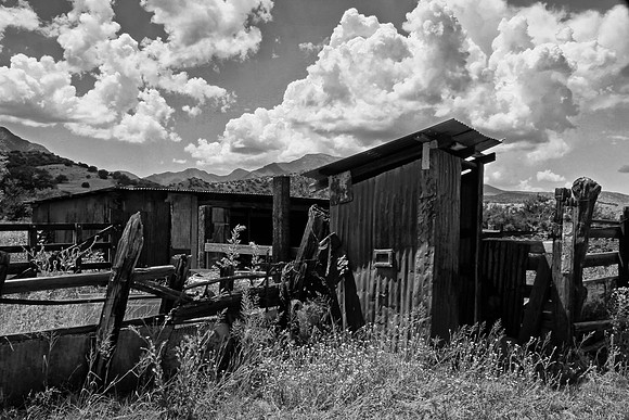Outhouse, Summer, Brown Caynon Ranch (BW)