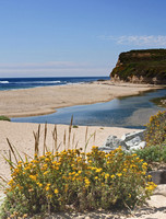 California Coast #2