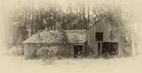Bodega Barn #4