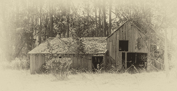 Bodega Barn #4