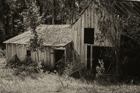 Bodega Barn #3
