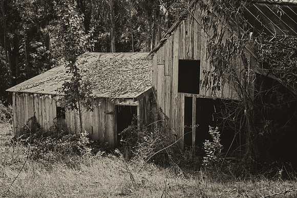 Bodega Barn #3