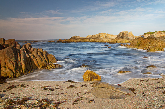 Point Lobos #2