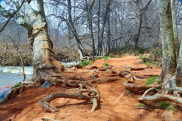 Red Rock Crossing in Winter