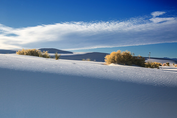 White Sands 0802