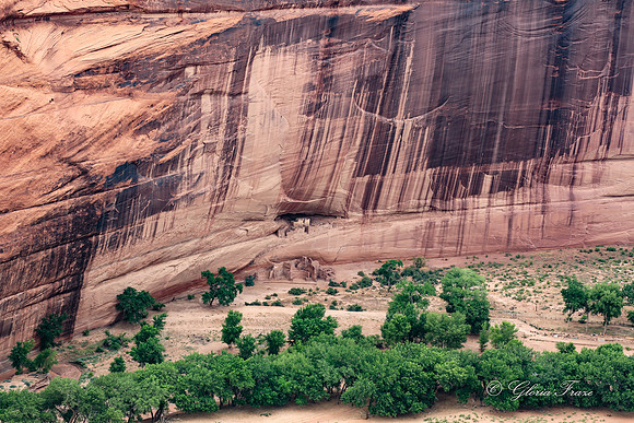 White House Ruin, Canyon deChelly_1314-4
