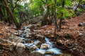 Ramsey Canyon Hereford, AZ