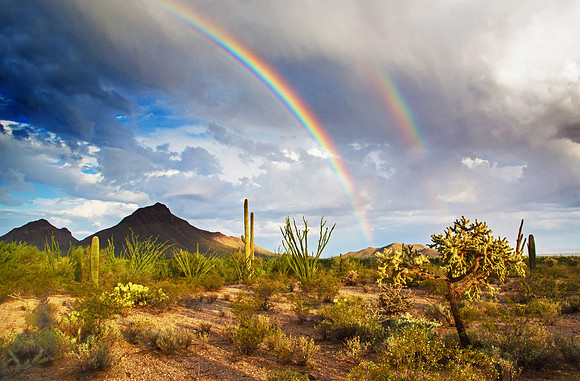 Desert Rainbows