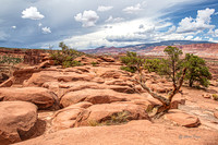 Capitol Reef-2876