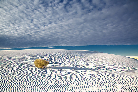 White Sands 0807