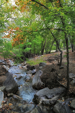 Ramsey Canyon Stream  GLO4380b