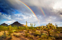 Desert Rainbows