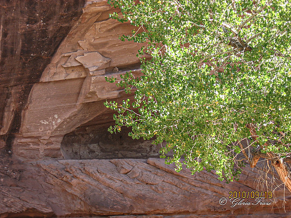Canyon de Chelly, IMG_5670-4