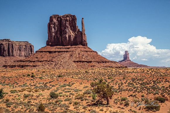 West Mitten, Monument Valley, Arizona GLO1434
