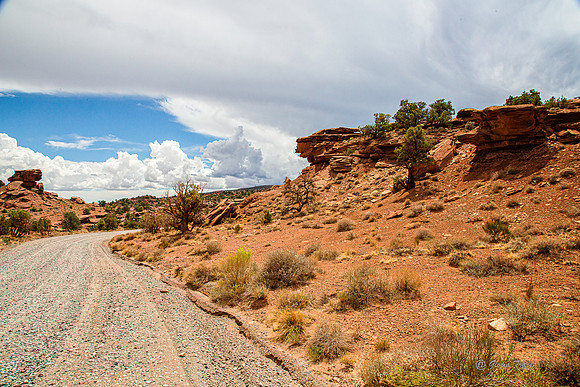Capitol Reef-2873-2873