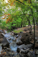 Ramsey Canyon Stream  GLO4380b