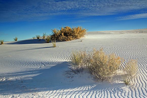 White Sands 0801