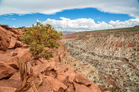 Capitol Reef-2877
