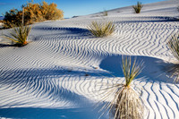 White Sands 0798
