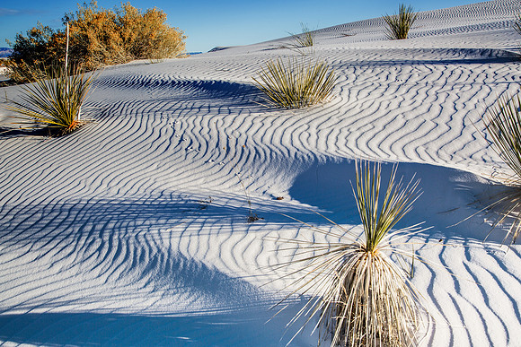 White Sands 0798