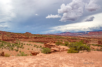 Capitol Reef-2888