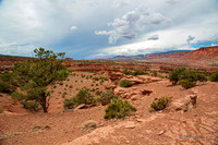 Capitol Reef-2883-2883