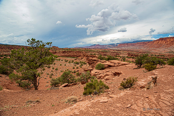 Capitol Reef-2883-2883